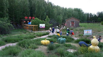 九城宮生態(tài)園圖冊(cè)