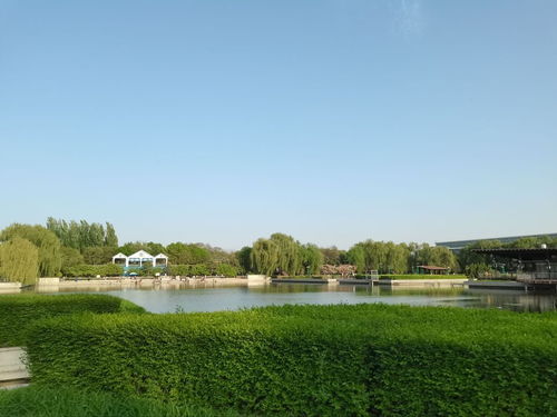 保定市農(nóng)業(yè)生態(tài)園門票,保定市農(nóng)業(yè)生態(tài)園游玩攻略 360地圖