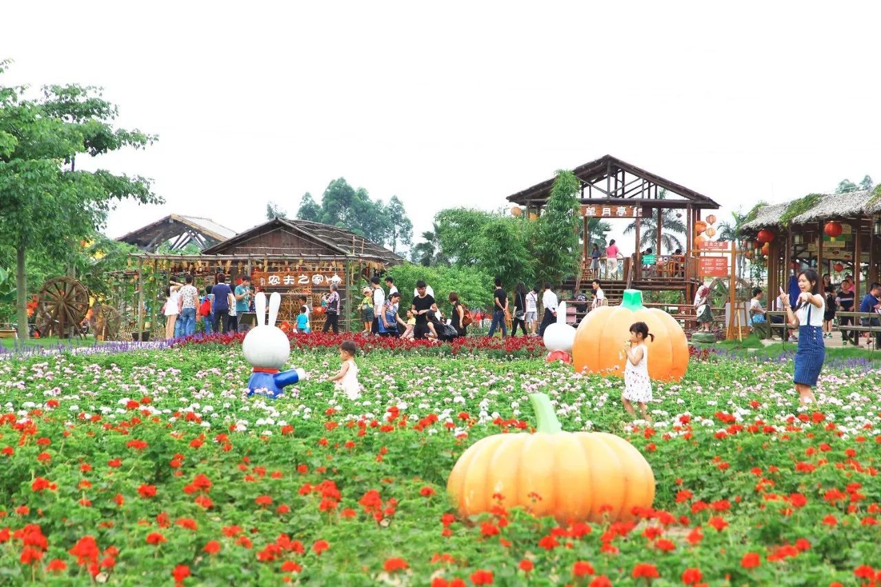 1票6園任玩￥99=2大2小搶盈香生態園,看花海+機動游戲任玩+反斗水城+鳥巢科普園+劇場!