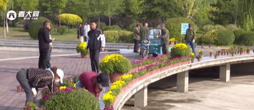 御河生態園第三屆金秋花展籌備中