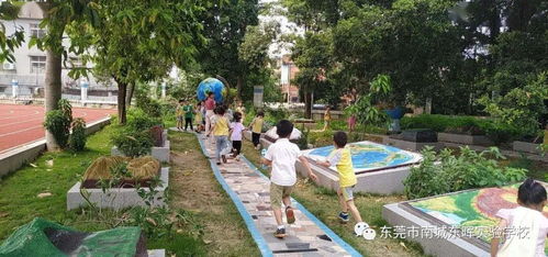 東暉實驗學校2020 2021學年新生網(wǎng)上報名