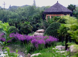 白馬澗生態(tài)園風景美圖