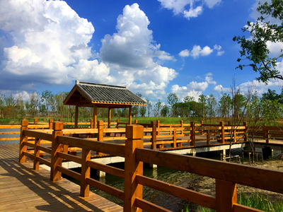 蘇州平望鎮(zhèn)釋放創(chuàng)新力 構(gòu)筑現(xiàn)代產(chǎn)業(yè)發(fā)展體系