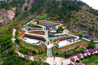 免費游花海！第三屆青島花卉博覽會今日在生態(tài)園盛大啟動