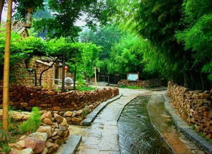 竹泉村與蘭陵生態(tài)園兩日游 探秘自然生態(tài)與人文風情