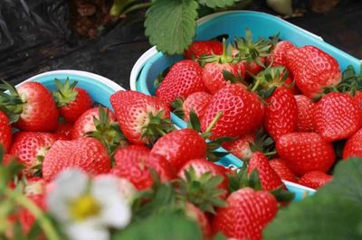 放假了，一定要去生態園的6個理由！